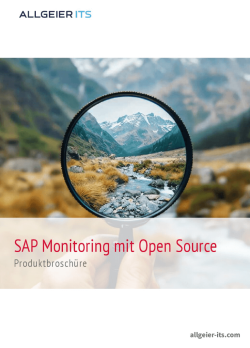 sap_monitoring_mit_openitcockpit_cust